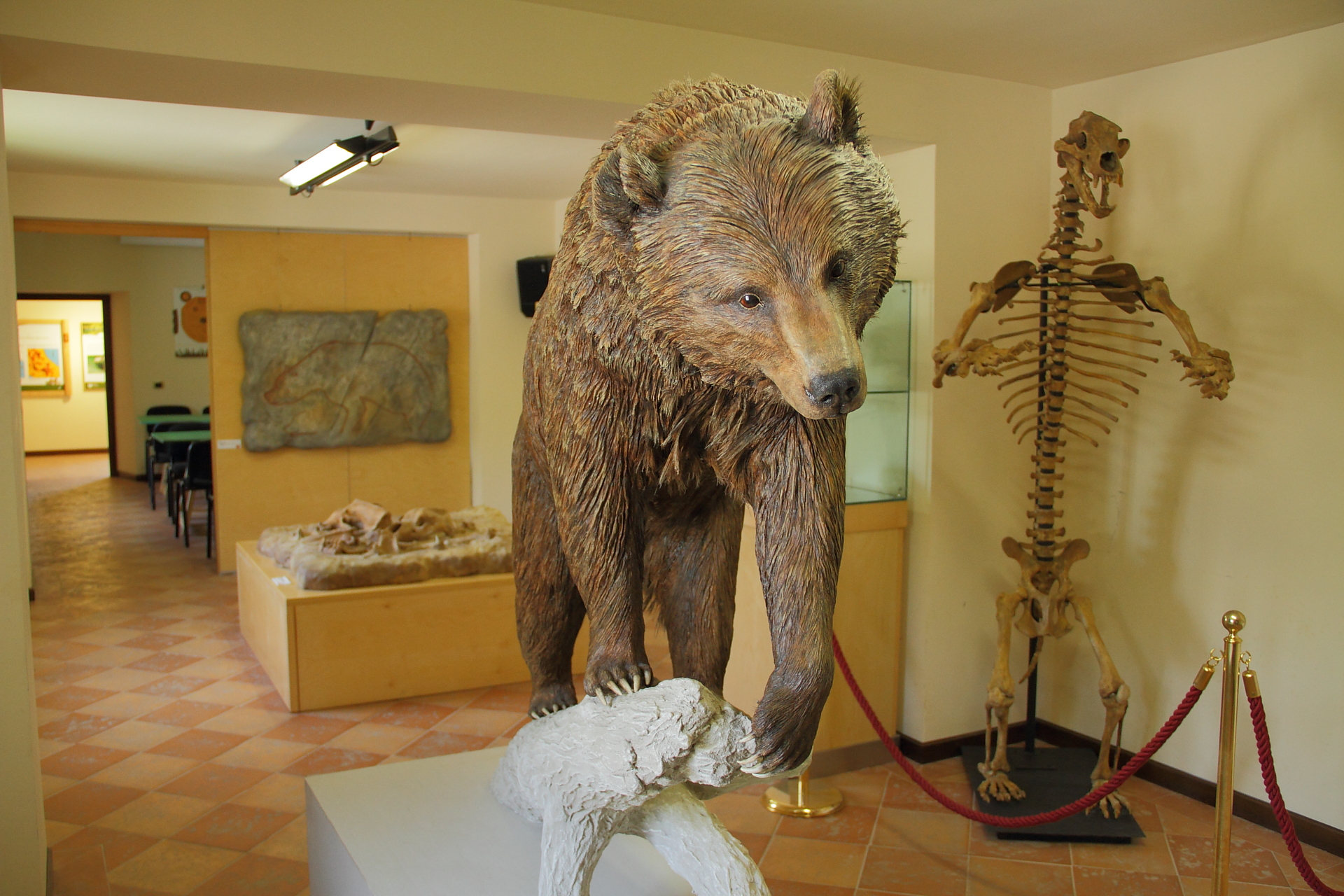 Museo dell'Orso